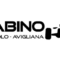 rabino