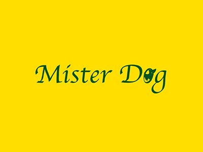 mister dog